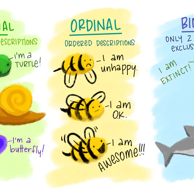 02 - Data Types & Structures